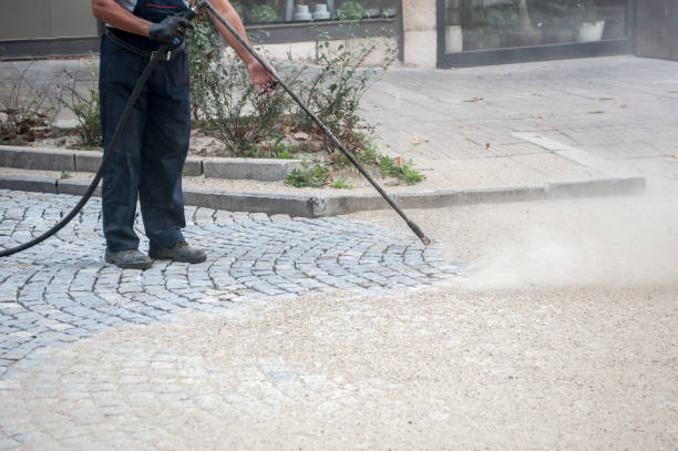 Best Animal Enclosure Cleaning  in Lyndhurst, OH